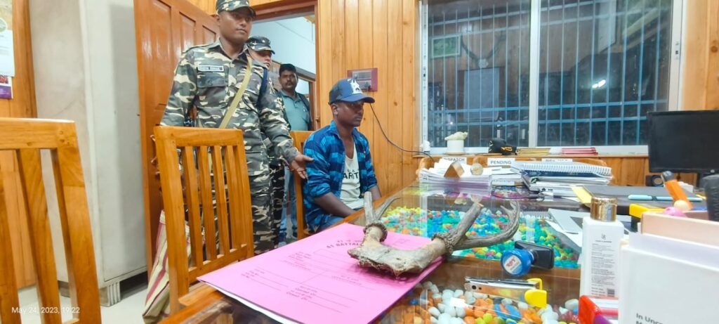 Youth apprehended with deer horn in Naxalbari intended for smuggling