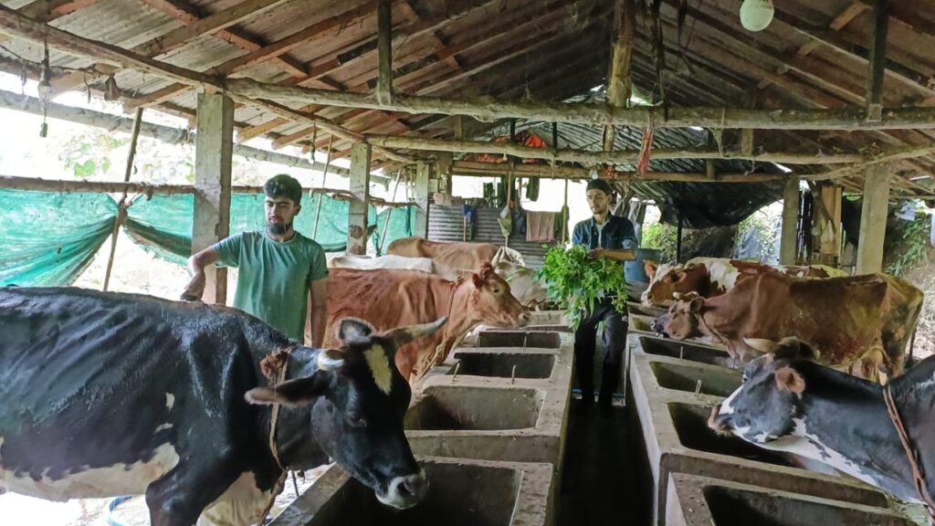 Siblings from Sitong set an example; Passion and hard work can lead to Rs 1 lakh monthly earnings even in the village!