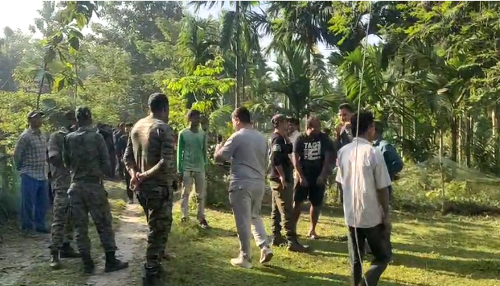 Wild elephant electrocuted to death in Kalchini