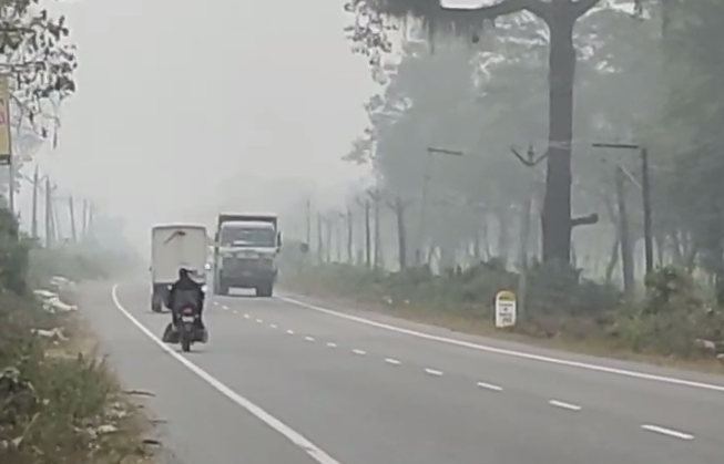 Winter in Dooars: Dense fog prevails all over Dooars with no signs of sun