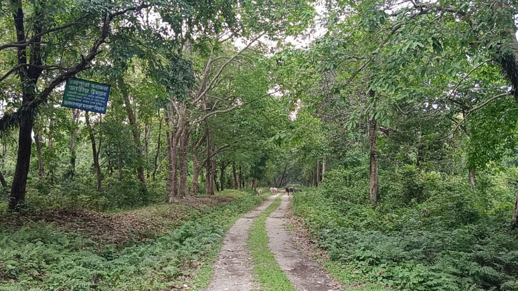 Dooars Forest set to be closed from June 16