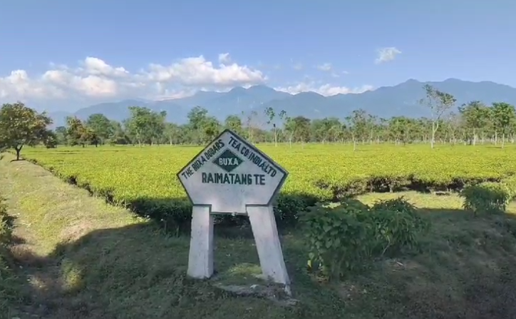 Kalchini and Raimatang Tea Estates to reopen after nearly a year, workers celebrate