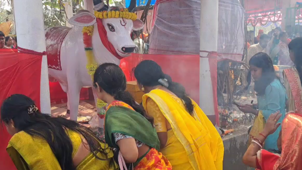 Maha Shivratri: Devotees throng Bhadreswar Temple in Rajganj for 67th Shiv Puja and Fair