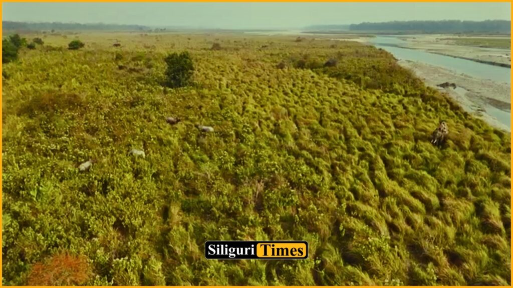 Rhino census begins in Jaldapara National Park using Kumki elephants