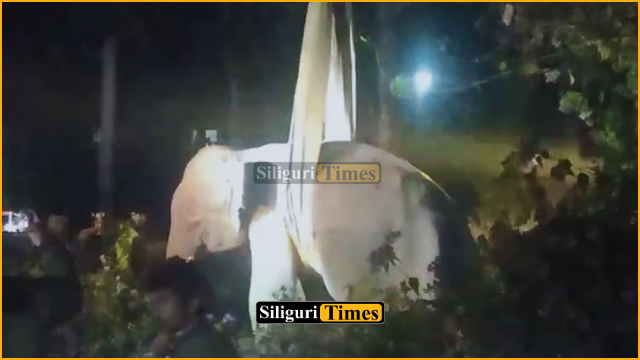 Elephant strays into Jalpaiguri city, night-long panic among residents