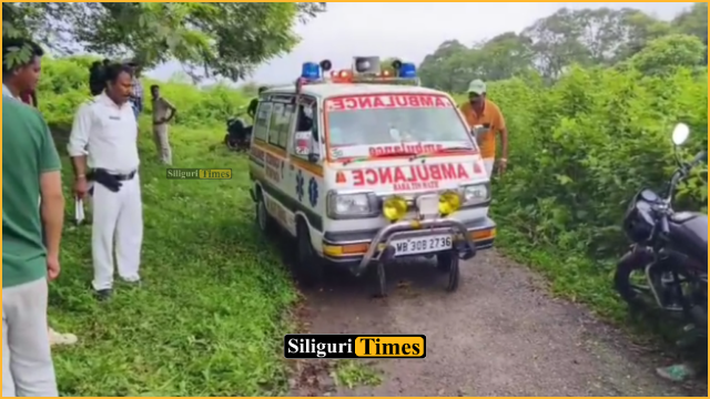 Decapitated body recovered from tea garden in Bagdogra; police launch investigation