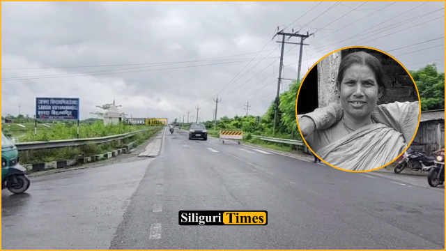 Woman dies after e-rickshaw overturns following collision with vehicle in Fulbari