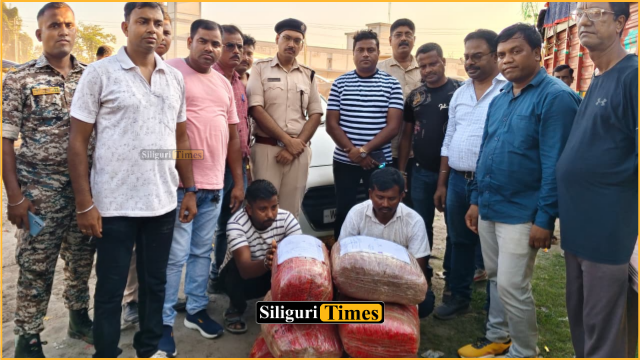NJP Police seize 60 kg cannabis before smuggling attempt in Fulbari, two arrested