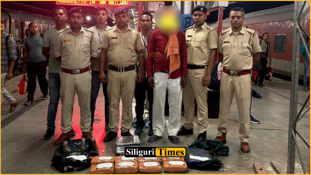10.240 kg of cannabis seized from train at NJP, one arrested