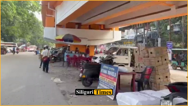Multiple small businesses emerge under flyover on Burdwan Road in Siliguri, questions raised over use of space