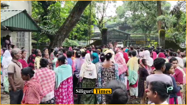 Naxalbari tea garden workers protest over pending bonus, demand 20% payment