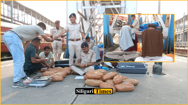 30 packets of cannabis seized at NJP Railway Station; two youths from Assam arrested