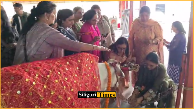 Lions Club of Siliguri Terai Shakti offers ’56 bhog’ to ailing cows at Gokul Dham near Fulbari