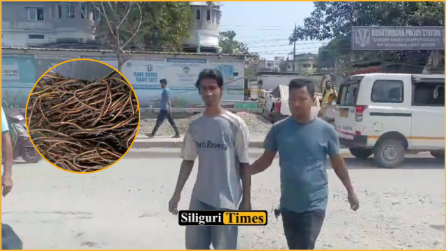 Youth arrested for alleged copper wire theft in Siliguri; 10 kg of burnt wire recovered