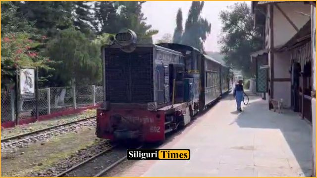 Darjeeling Himalayan Railway earns ₹1.41 crore in 21 days during Durga Puja season; 12,000 passengers travel on heritage trains