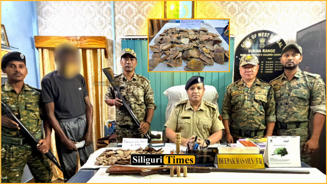 Sukna Range team arrests man with gun, ammunition and 2.5 kg pangolin scales